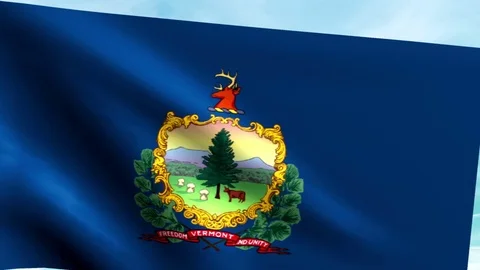 Large Looping Animated Flag of Vermont Stock Footage 73710613