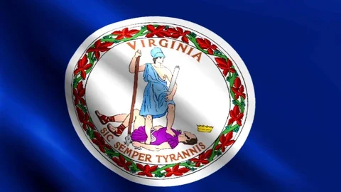 Large Looping Animated Flag of Virginia Stock Footage 73735976