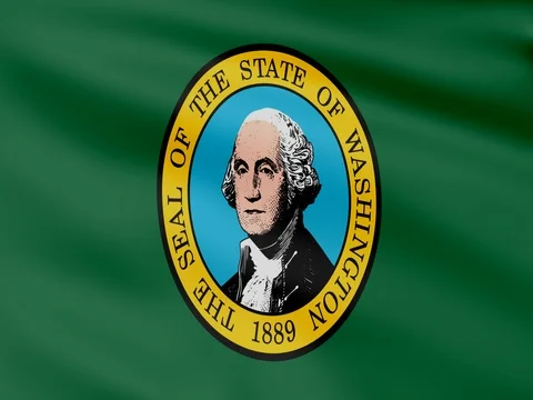 Large Looping Animated Flag of Washington Stock Footage 73128547