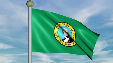 Large Looping Animated Flag of Washington Stock Footage 73736988