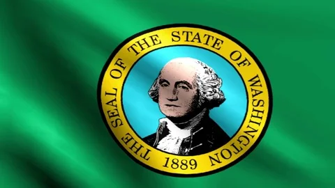 Large Looping Animated Flag of Washington Stock Footage 73737152