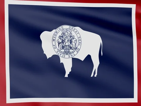 Large Looping Animated Flag of Wyoming Stock Footage 73129986