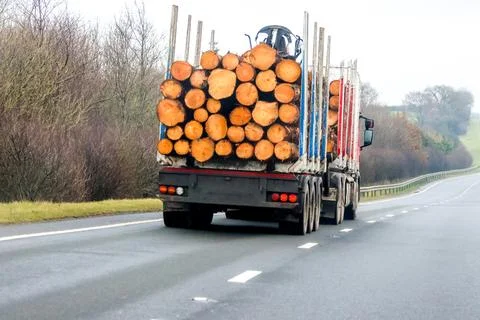 A Large Lorry Designed For Carrying Huge Logs From Forest To Factory Drivin.. Stock Photos