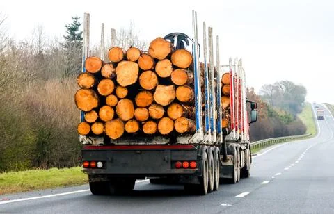 A Large Lorry Designed For Carrying Huge Logs From Forest To Factory Drivin.. Stock Photos