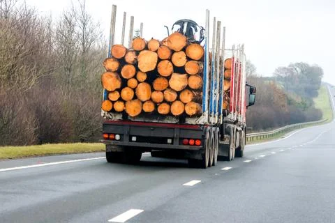 A Large Lorry Designed For Carrying Huge Logs From Forest To Factory Drivin.. Stock Photos