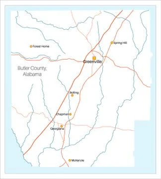 Large map of Butler County in Alabama Stock Illustration