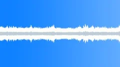 Large Market Hall Loop Sound Effect