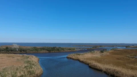 Large marshland area with delta rivers feeding into the gulf Stock Footage 101697613