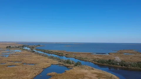 Large marshlands with estuary and delta river Stock-Footage 101697617