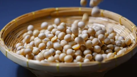 Large mass of soy beans dropping in slow motion Stock Footage 113595412