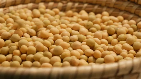 Large mass of soybeans turning and droping Stockbeeldmateriaal 162592098
