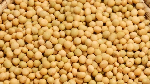 Large mass of soybeans turning Stockbeeldmateriaal 162592197