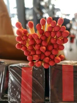 Large matches for a fireplace Stock Photos