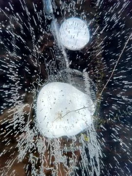 Large methane bubbles in the ice of Lake Baikal Stock Photos