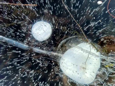 Large methane bubbles on Lake Baikal Stock Photos