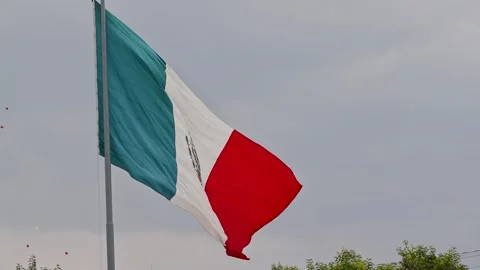 Large Mexican Flag Waving Against Overcast Sky Mexico City Zocalo Stock Footage 344716120