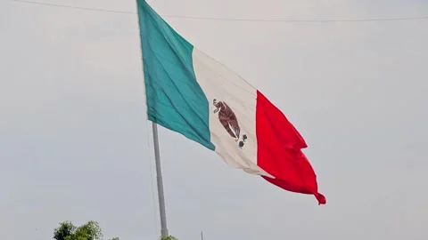 Large Mexican Flag Waving On Flagpole At Zocalo Plaza In Mexico City Stock Footage 344884887
