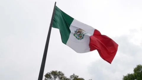 A large Mexican flag in the wind with trees Stock Footage 237261533