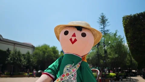 Large Mexican Rag Doll Wearing Straw Hat Queretaro Plaza De Independencia Stock Footage 343698107