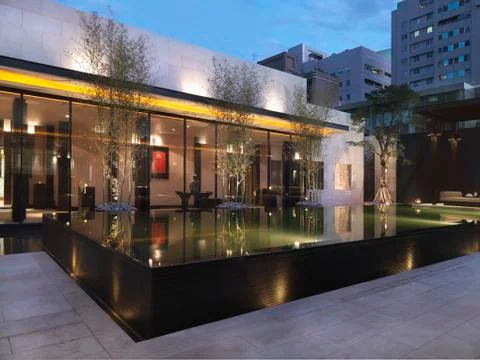 Large modern infinity pool at dusk Foto stock