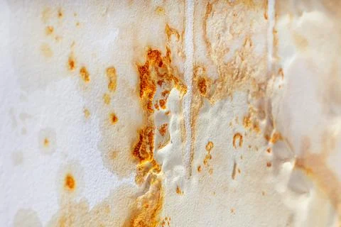 Large mold on the ceiling after the flood, wet marks on the ceiling of the ro Stock Photos