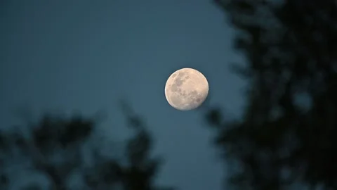 A large moon floating in the sky Video stock 130685361