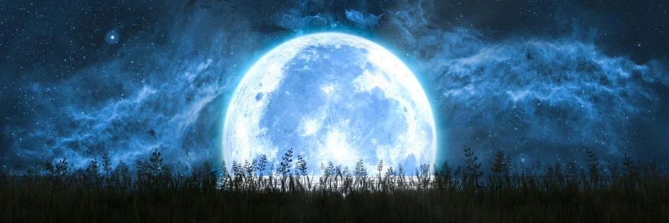 Large moon sets over the ocean horizon and illuminates the grass on the shore Illustrazione stock