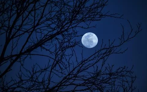 A large moon is in the sky above a dark blue sky Stock Photos