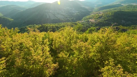 Large, mossy rock sits atop forested hillside. Boracki krs Serbia 動画素材 345005178