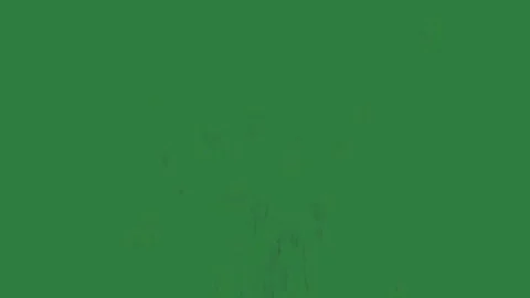 Large Motion Isolated Green Screen Stock Video 스톡 동영상 338013837