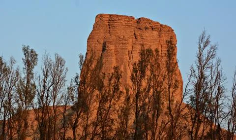 A large mountain behind the trees Stock-Fotos