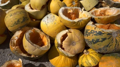 A large mountain of yellow pumpkins, pumpkins are cut into two halves. Stock Footage 117780496
