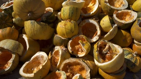 A large mountain of yellow pumpkins, pumpkins are cut into two halves. Stock Footage 117780585