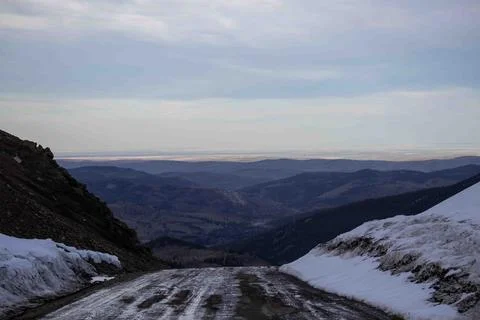 Large Mountains with Snow, Pine Trees, and Dirt Road Stock Photos