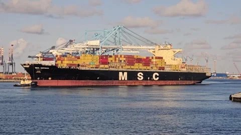 Large MSC Antigua container ship assisted by a tugboat near port cranes Stock Footage 341908079