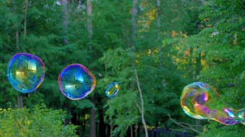 Large multi-colored soap bubbles.	 Stock Photos