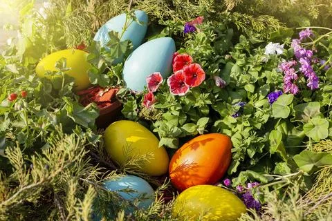 Large multi-colored wooden eggs lie on a flower bed , view from above Stock Photos