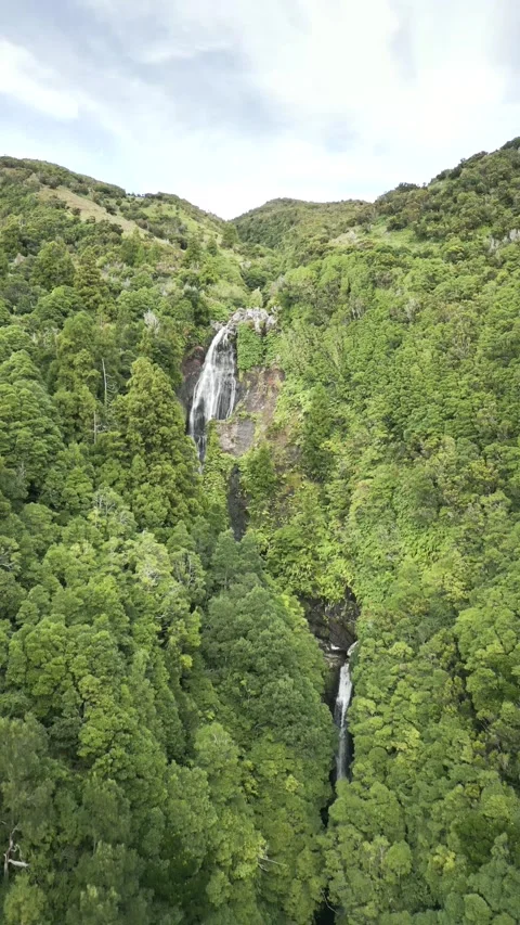 Large multi step waterfall surrounded by... | Stock Video | Pond5