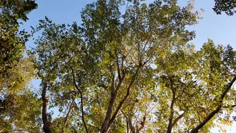 Large multi-tiered artificial waterfall Stock Footage 300000441