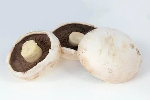 Large mushrooms Stock Photos