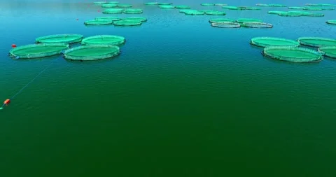 Large Nets Grouped Together Across Campsite Vacation Fresh Water Reservoir Video stock 300508369