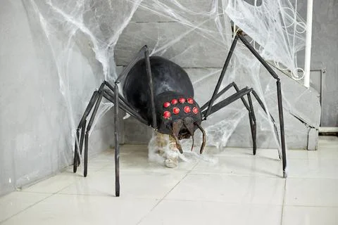 A large not real black spider stands in the corner near the web, as a decorat Stock Photos