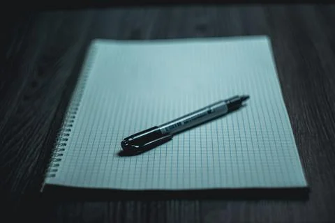 Large notebook and black marker in candlelight Foto stock