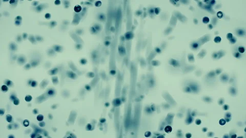 A large number of black spherical particles move quickly and randomly Stock Footage 130545994