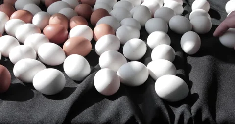 A large number of eggs Stock Footage 241098917