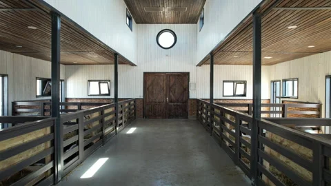 A large number of goats are fed in the barn Video stock 250196516