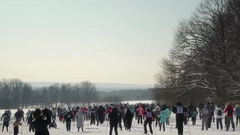 Large number of people of different ages with numbers on their backs are skiing Stock Footage 264123307