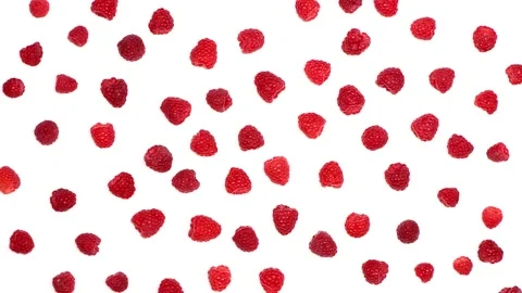A large number of raspberries on a white background. Top view. Stock Footage 159973013