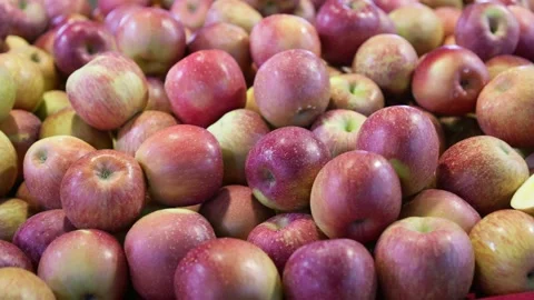A large number of red apples were piled up together Stock Footage 322778155
