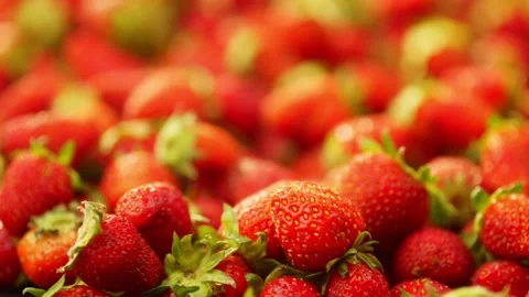 A large number of strawberries are spread over the surface. Stock Footage 276869188